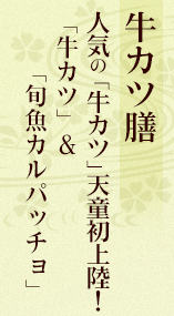 和風ビーフシチュー膳