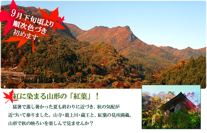 紅に染まる山形の紅葉！