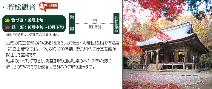 紅に染まる山形の紅葉！
