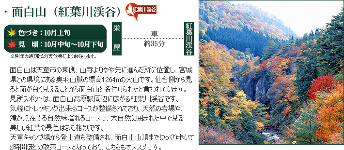 紅に染まる山形の紅葉！