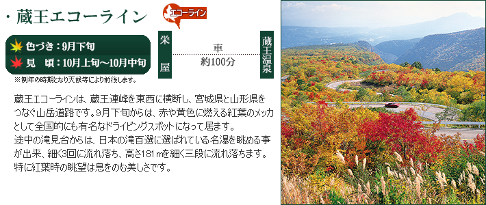 紅に染まる山形の紅葉！